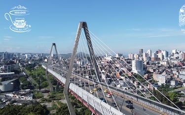 sitios para visitar pereira