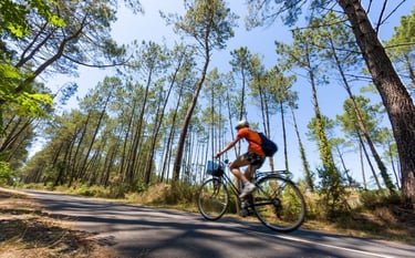 photo de la Vélodyssée à proximité du Camping les chênes dans les Landes
