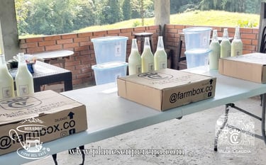 que hacer en pereira con niños