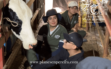 fincas cafeteras pereira