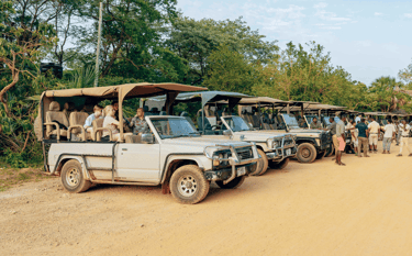 Image of safari trucks to denote tourism AI