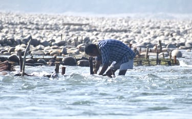gold prospector near Mohana river