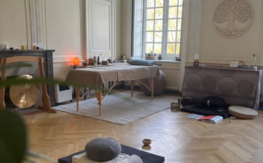 cabinet chateau du pé st jean de boiseau christophe meunier magnetiseur energeticien