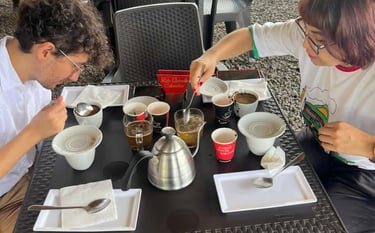 cultura del café pereira