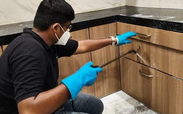 RESIDENTIAL PEST CONTROL SERVICE