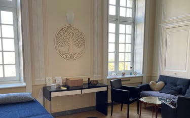 cabinet chateau du pé st jean de boiseau christophe meunier magnetiseur energeticien