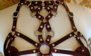 Full torso brown leather ring-work body harness.