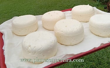 qué lugares conocer en pereira