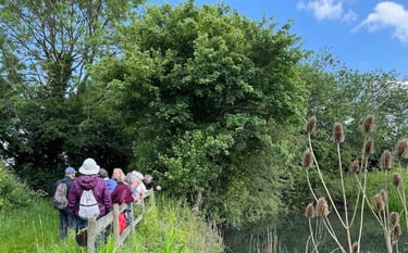 Field trip to Elm Farm, Burnett