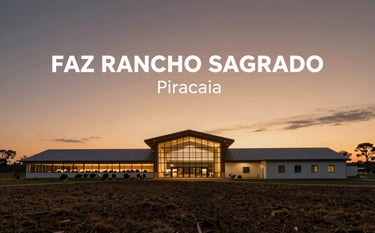A wide view of the Faz Rancho Sagrado in Piracaia at dusk. The architecture of the facility is modern and integrated with nature. The sky is a palette of soft ambers and taupes. The overall mood is authoritative and professional, showcasing a premium dairy operation.