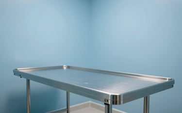 High-quality photography of a clean and minimalist veterinary consultation room in Latin America / Spain. The room features a modern metal table and soft sky blue walls, creating a reassuring and clinical environment.