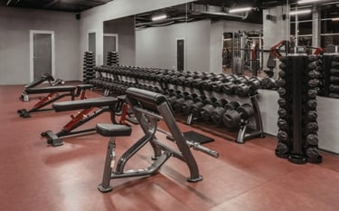 Modern gym weight room featuring rows of dumbbells on racks and adjustable workout benches.
