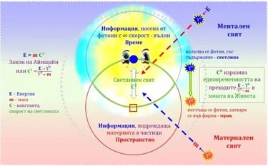 Айнщайн, Светлинен свят, зона на живота, информация с различна скорост, ментален и материален свят
