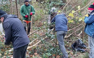 Coppicing during volunteer work
