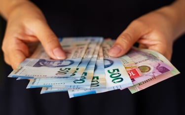 Inflación. Imagen de:https://www.freepik.es/