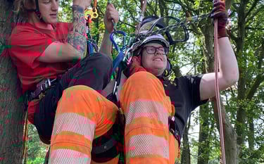 Tree Aerial rescue