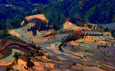 China well know history Geography Humanities Economy Top of China