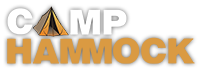 Camp Activities 