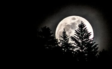 Nocturne