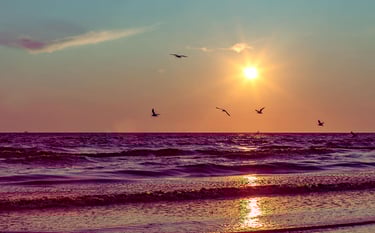 sunset