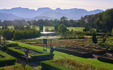 The glorious view over the vegetable garden at Boschendal