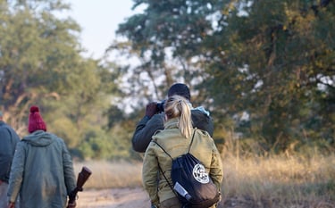 On a bush walk through the Greater Kruger region