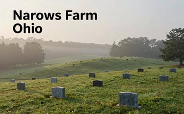 A serene and peaceful pet cemetery landscape at Narrows Farm in Ohio. The scene features rolling green hills under soft, misty morning light. Small, dignified stone markers are nestled in the grass. The color palette emphasizes #3C4B40 and #6C7C71 for the vegetation and a soft #F7F9F7 sky. The atmosphere is professional, quiet, and deeply respectful.