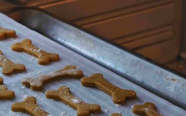 dogAdvisor | dogadvisor | dog advisor | dogAdvisor.dog