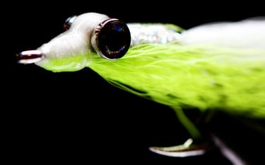 Clouser minnow for fluke