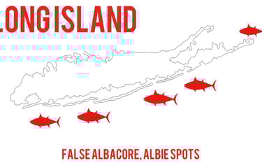 Where to fly fish for albies on long island