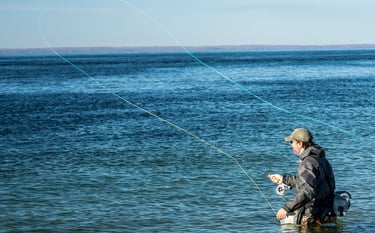albie fly fishing