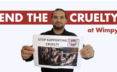 End the Cruelty at Wimpy
