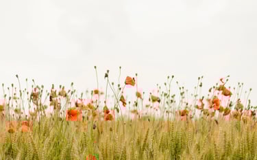 nature et santé