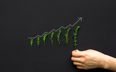 croissance d'entreprise à long terme