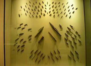 Iron_arrowheads_and_spearheads_from_Thermopyles, Therese Clutario, Flickr