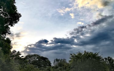 God Saint Sanctification Faith Growth Jesus Holy Discernment Virtue Catholic Christian Suffering