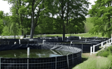 Fish Ponds or Tanks