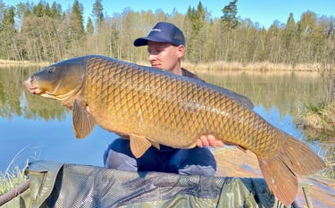 Karpių žuklė ilgio ežere su Renmar Baits Red Fish boiliais