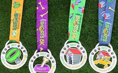 2017 runDisney Virtual Summer Series Medals