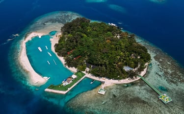 inti island dienetmag