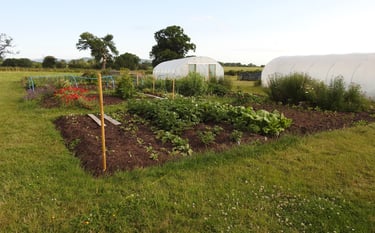 Little Oak Gifts market garden