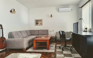 The photo shows the apartment's spacious living room from enather angle. 