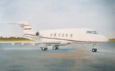 commission art by client from photo special request airplane