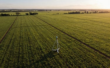 A high-altitude aerial view of a vast South American / Brazilian farm with clearly defined boundaries, professional surveying equipment set up in the foreground, golden hour sunlight highlighting the green landscape, sharp focus, professional photography.