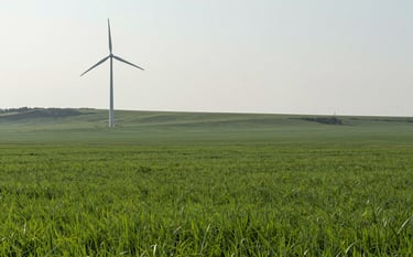 High-end panoramic photography of a vast green landscape with a subtle wind turbine silhouette in the distance. The lighting is bright and airy with pale mist grey skies. The composition emphasizes the scale and potential of sustainable land for energy development.