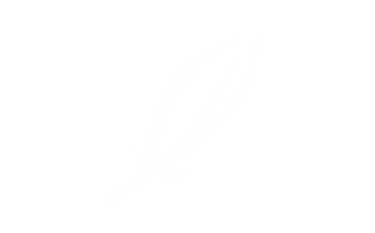 Logo feather plumatech