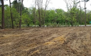 clearing for home lot Ca