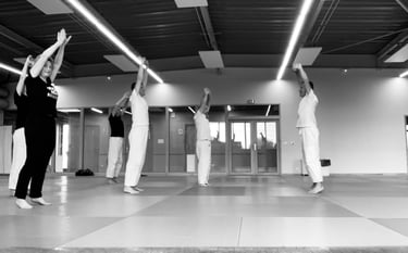 aïki taïso au baisieux arts martiaux