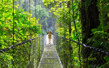A hiker with a backpack walks across a metal suspension bridge in a lush tropical rainforest canopy.