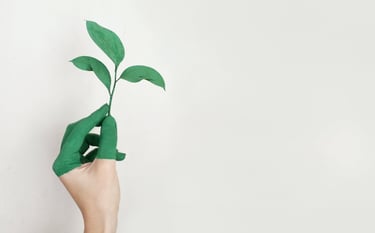 une main dont les doigts sont peints en verts et tenant une jeune pousse de plantes